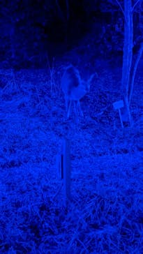 KYOTO ILLUMINATION SYNESTHESIA HILLS るり渓温泉に投稿された画像（2023/3/5）