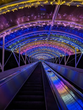 レオマリゾートに投稿された画像（2023/3/5）