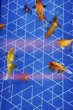 すみだ水族館に投稿された画像（2023/3/5）