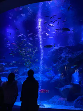 すみだ水族館に投稿された画像（2023/3/5）