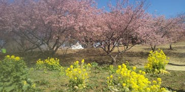 いばらきフラワーパークに投稿された画像（2023/3/5）