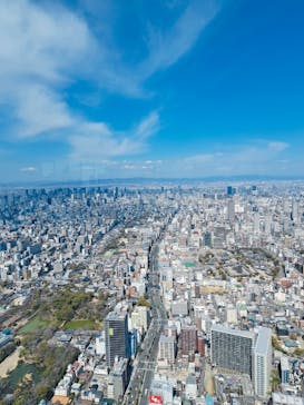 ハルカス300(展望台)に投稿された画像（2023/3/6）