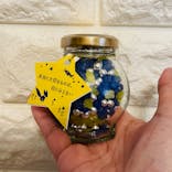 星の王子さまミュージアム 箱根サン=テグジュペリに投稿された画像（2023/3/6）