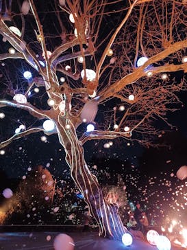 西武園ゆうえんちに投稿された画像（2023/3/6）