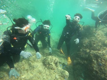 沖縄マリンサービス碧に投稿された画像（2023/3/6）