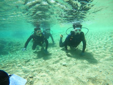 沖縄マリンサービス碧に投稿された画像（2023/3/6）