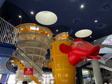 アクアワールド茨城県大洗水族館に投稿された画像（2023/3/6）