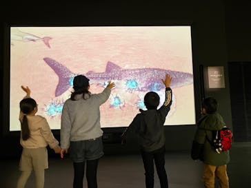 アクアワールド茨城県大洗水族館に投稿された画像（2023/3/6）