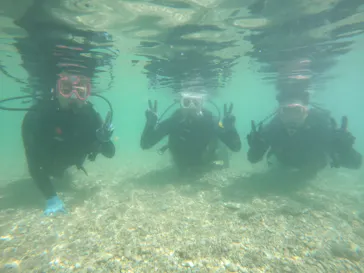 武藤潜水に投稿された画像（2023/3/6）