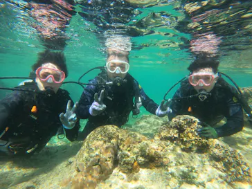 武藤潜水に投稿された画像（2023/3/6）