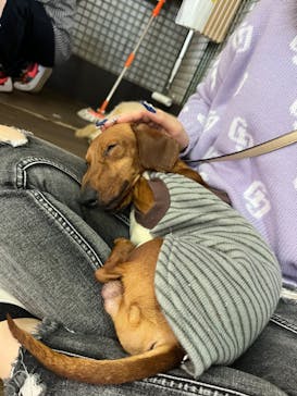 ワールド牧場に投稿された画像（2023/3/6）