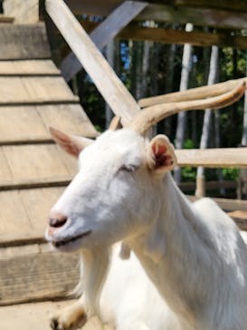 美らヤシパークオキナワ・東南植物楽園に投稿された画像（2023/3/6）