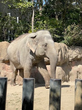 到津の森公園に投稿された画像（2023/3/6）