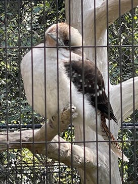 到津の森公園に投稿された画像（2023/3/6）