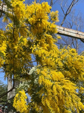 到津の森公園に投稿された画像（2023/3/6）