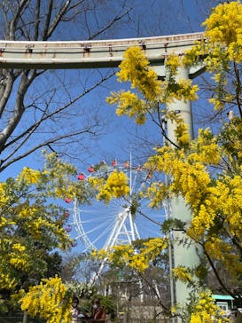 到津の森公園に投稿された画像（2023/3/6）