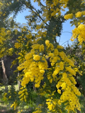 到津の森公園に投稿された画像（2023/3/6）