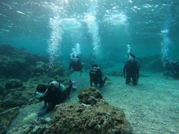 沖縄マリンサービス碧に投稿された画像（2023/3/6）