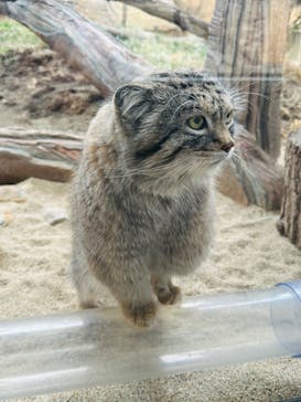 那須どうぶつ王国に投稿された画像（2023/3/6）