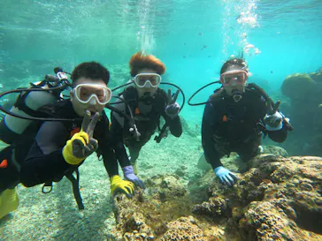 武藤潜水に投稿された画像（2023/3/6）