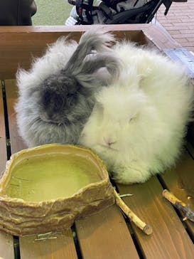 那須どうぶつ王国に投稿された画像（2023/3/6）