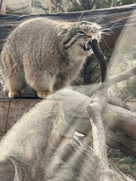 那須どうぶつ王国に投稿された画像（2023/3/6）