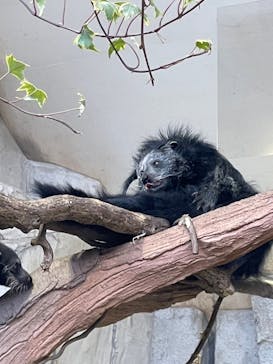 那須どうぶつ王国に投稿された画像（2023/3/6）