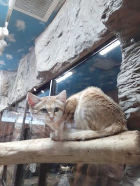 那須どうぶつ王国に投稿された画像（2023/3/6）