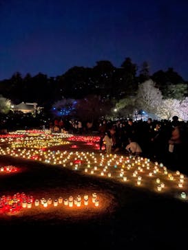 偕楽園本園に投稿された画像（2023/3/6）
