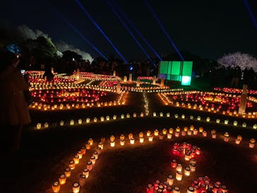 偕楽園本園に投稿された画像（2023/3/6）