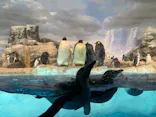 名古屋港水族館に投稿された画像（2023/3/6）