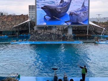 名古屋港水族館に投稿された画像（2023/3/6）