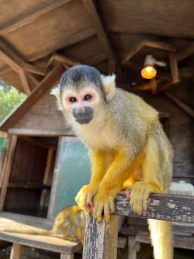 伊豆シャボテン動物公園に投稿された画像（2023/3/6）