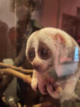 伊豆シャボテン動物公園に投稿された画像（2023/3/6）