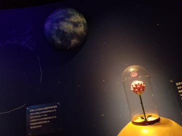 星の王子さまミュージアム 箱根サン=テグジュペリに投稿された画像（2023/3/6）