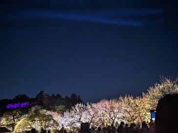 偕楽園本園に投稿された画像（2023/3/6）