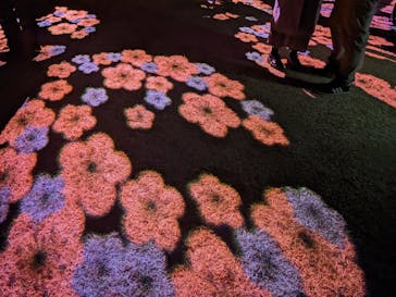 偕楽園本園に投稿された画像（2023/3/6）