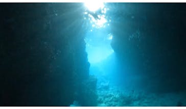 DIVING-SHOP SUNSに投稿された画像（2023/3/6）