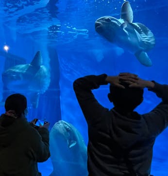 アクアワールド茨城県大洗水族館に投稿された画像（2023/3/6）