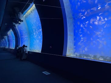 アクアワールド茨城県大洗水族館に投稿された画像（2023/3/6）