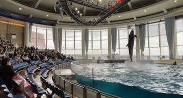 アクアワールド茨城県大洗水族館に投稿された画像（2023/3/6）