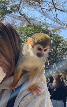 長崎バイオパークに投稿された画像（2023/3/6）