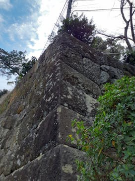 小田原城に投稿された画像（2023/3/6）