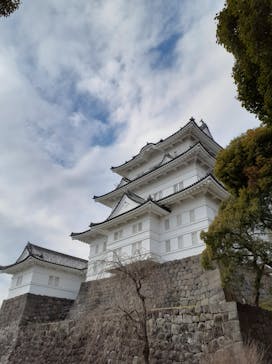 小田原城に投稿された画像（2023/3/6）