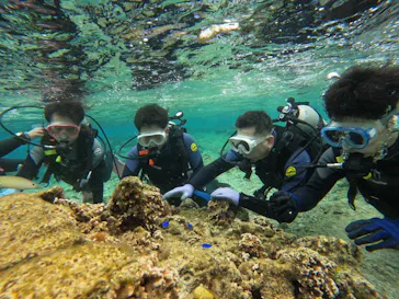 武藤潜水に投稿された画像（2023/3/6）