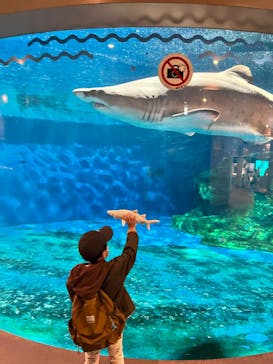 しながわ水族館に投稿された画像（2023/3/6）