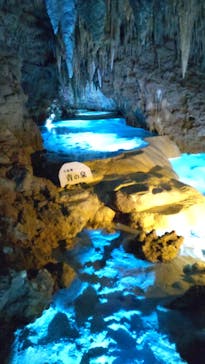 おきなわワールドに投稿された画像（2023/3/6）