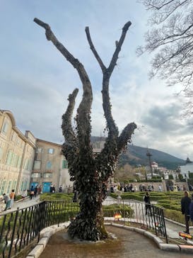 星の王子さまミュージアム 箱根サン=テグジュペリに投稿された画像（2023/3/6）