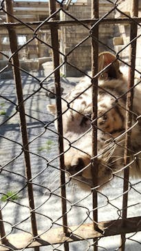 東武動物公園に投稿された画像（2023/3/6）