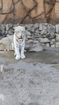 東武動物公園に投稿された画像（2023/3/6）